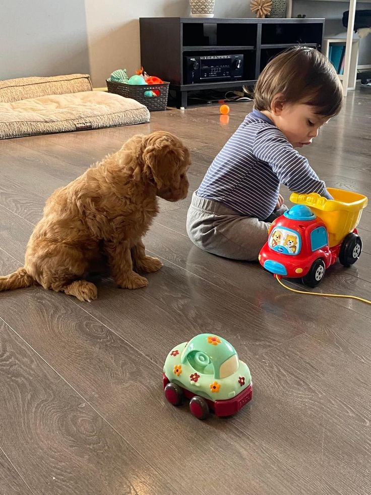 Intelligent doodle learning a new trick during a training session